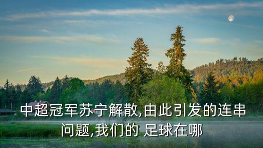  中超冠軍蘇寧解散,由此引發(fā)的連串問題,我們的 足球在哪