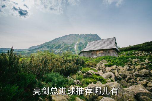 亮劍總進(jìn)球推薦哪兒有