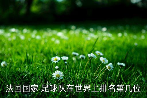 法國國家 足球隊(duì)在世界上排名第幾位