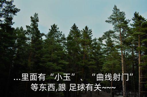 ...里面有“小玉”、“曲線射門”等東西,跟 足球有關(guān)~~~