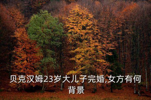 貝克漢姆23歲大兒子完婚,女方有何 背景