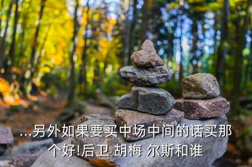 ...另外如果要買中場中間的話買那個好!后衛(wèi) 胡梅 爾斯和誰