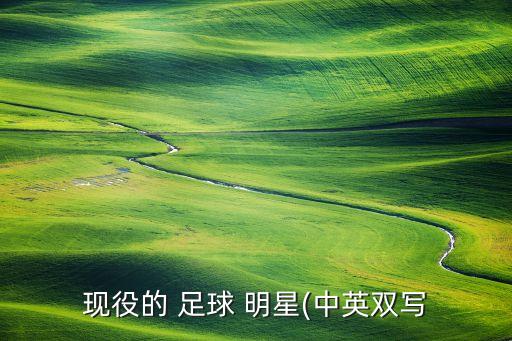 現(xiàn)役的 足球 明星(中英雙寫
