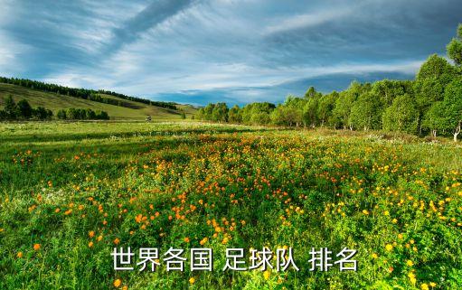  世界各國 足球隊 排名