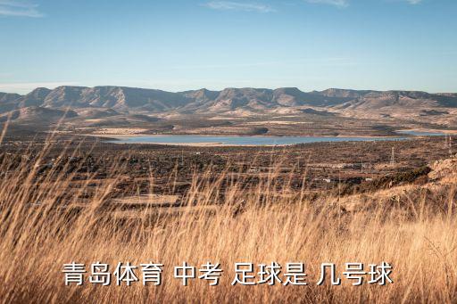青島體育 中考 足球是 幾號球