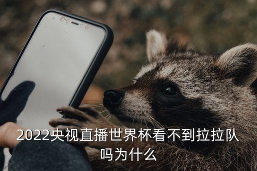 2022央視直播世界杯看不到拉拉隊(duì)嗎為什么