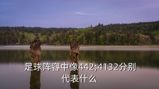  足球陣容中像442;4132分別代表什么