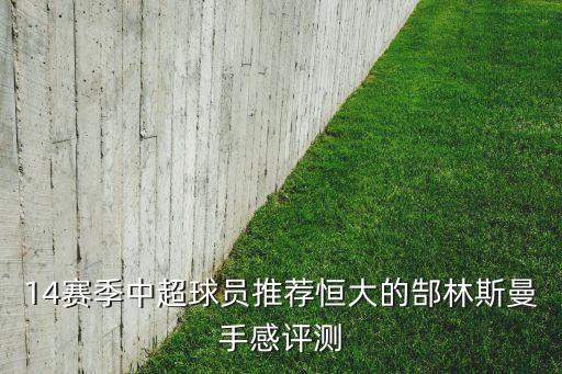 足球累計(jì)傷缺斯圖里奇