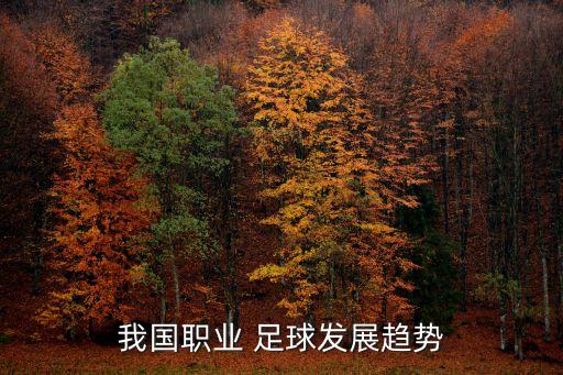 我國職業(yè) 足球發(fā)展趨勢