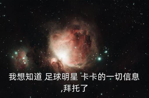 卡卡什么時(shí)候哪的世界足球先生,卡卡世界足球先生2007
