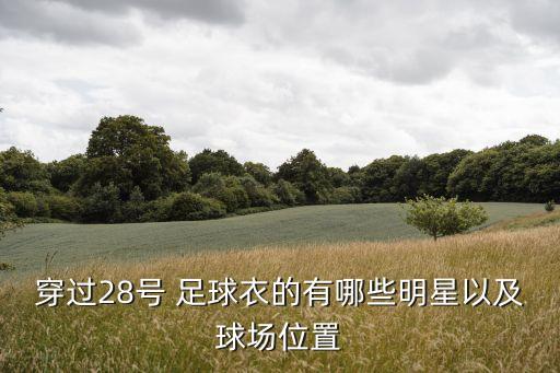 穿過28號(hào) 足球衣的有哪些明星以及球場位置
