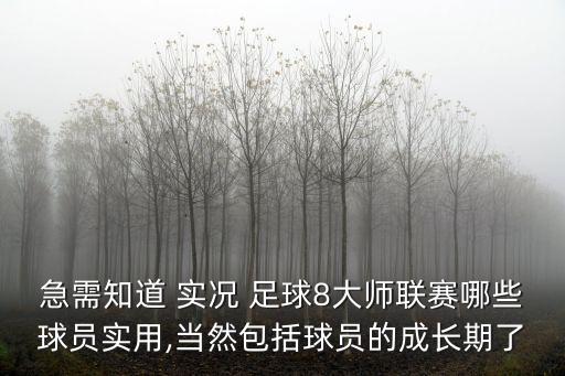 急需知道 實況 足球8大師聯(lián)賽哪些球員實用,當(dāng)然包括球員的成長期了