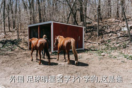 10號足球運動員三個字,中國男足球運動員三個字的