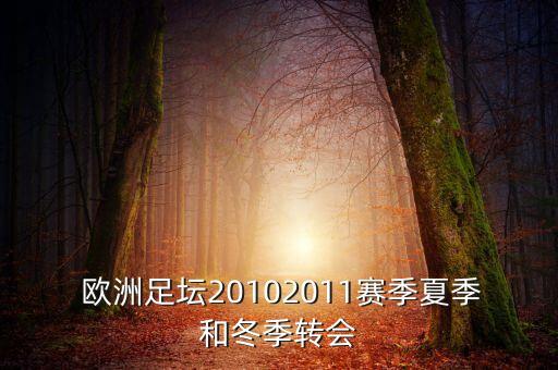  歐洲足壇20102011賽季夏季和冬季轉(zhuǎn)會(huì)
