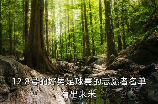 96年中國明星足球隊,中國明星足球隊名單