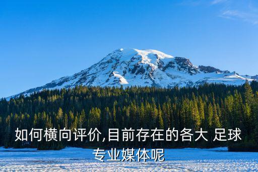 如何橫向評(píng)價(jià),目前存在的各大 足球?qū)I(yè)媒體呢