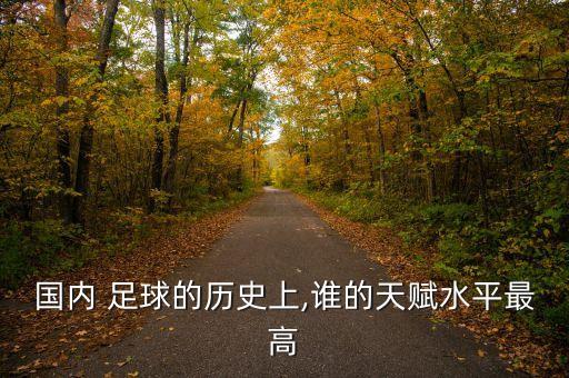 國內(nèi) 足球的歷史上,誰的天賦水平最高