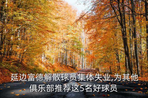  延邊富德解散球員集體失業(yè),為其他俱樂部推薦這5名好球員