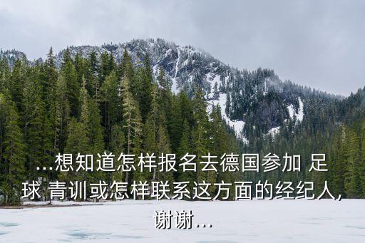 ...想知道怎樣報(bào)名去德國(guó)參加 足球 青訓(xùn)或怎樣聯(lián)系這方面的經(jīng)紀(jì)人,謝謝...