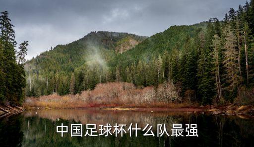 中國(guó)足球杯什么隊(duì)最強(qiáng)