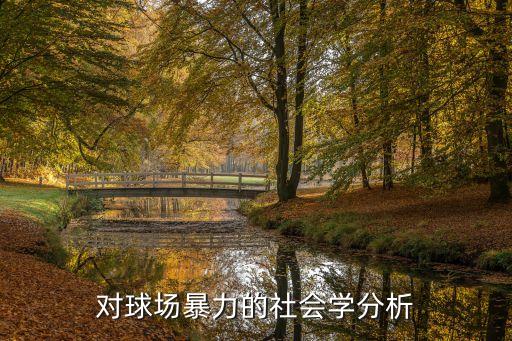 對(duì)球場暴力的社會(huì)學(xué)分析