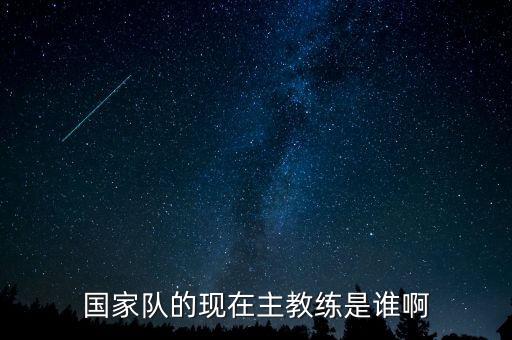 國家隊的現(xiàn)在主教練是誰啊