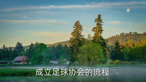 福州組建職業(yè)足球隊,如何組建一支職業(yè)足球隊