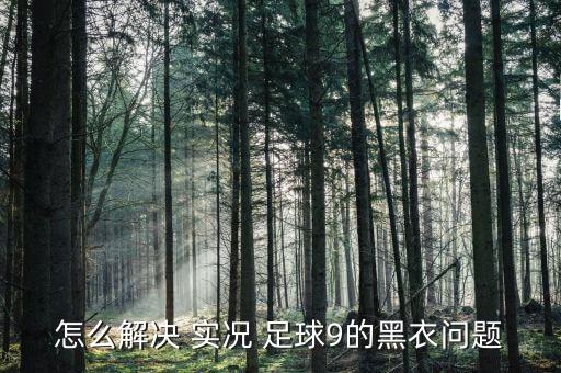 怎么解決 實(shí)況 足球9的黑衣問題