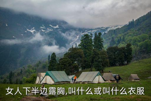 足球?qū)氊怲恤露下半球