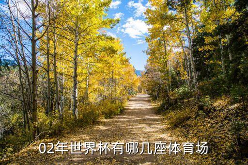 02年世界杯有哪幾座體育場(chǎng)