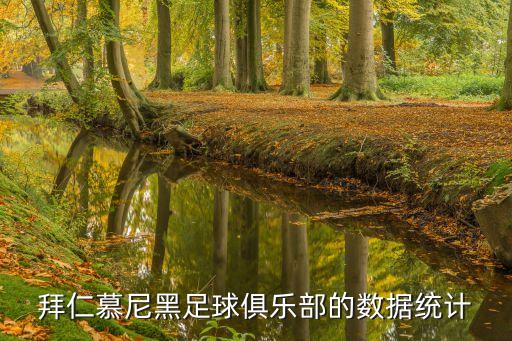 拜仁慕尼黑足球俱樂部的數(shù)據(jù)統(tǒng)計(jì)