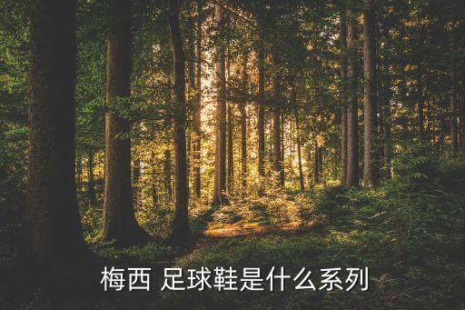 梅西的足球鞋多少錢,足球鞋品牌排行榜前十名