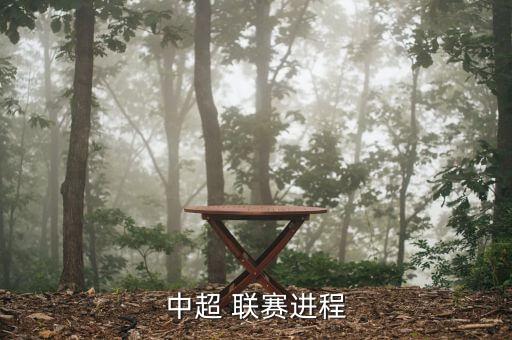 中超 聯(lián)賽進程