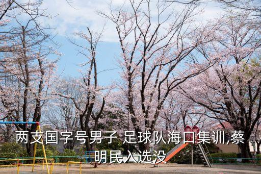 兩支國字號男子 足球隊?？诩?xùn),蔡明民入選沒