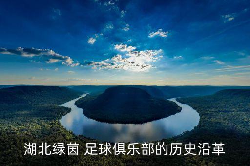 湖北綠茵 足球俱樂(lè)部的歷史沿革