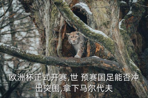 歐洲杯正式開賽,世 預(yù)賽國足能否沖出突圍,拿下馬爾代夫
