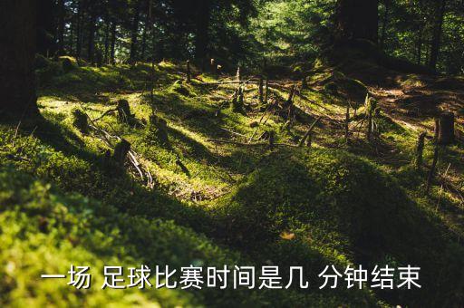 一場 足球比賽時間是幾 分鐘結(jié)束