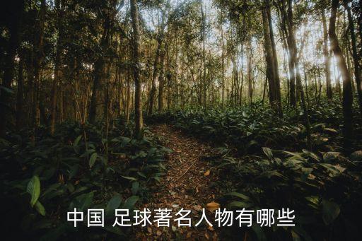 中國足球十大前鋒
