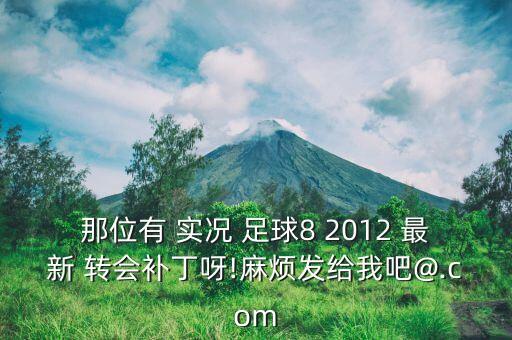 那位有 實況 足球8 2012 最新 轉(zhuǎn)會補(bǔ)丁呀!麻煩發(fā)給我吧@.com