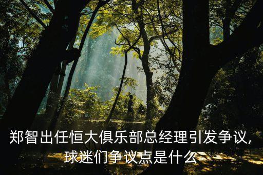 14年恒大足球隊隊長是誰,恒大足球隊隊長鄭智