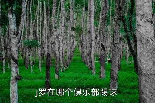 圖爾足球隊(duì)羅德里格斯