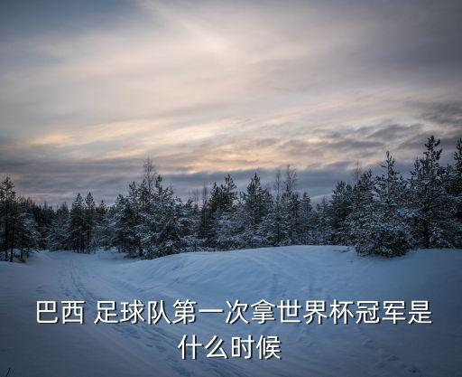  巴西 足球隊(duì)第一次拿世界杯冠軍是什么時(shí)候