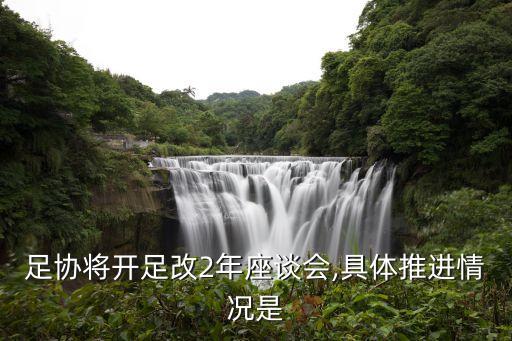國(guó)家重視足球改革,國(guó)家為什么這么重視足球