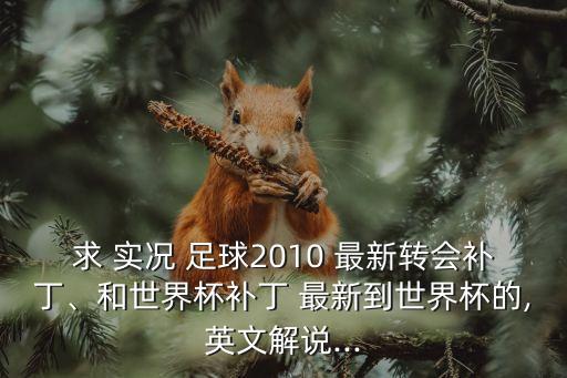 求 實況 足球2010 最新轉(zhuǎn)會補丁、和世界杯補丁 最新到世界杯的,英文解說...