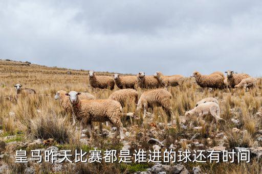  皇馬昨天比賽都是誰進(jìn)的球還有時(shí)間