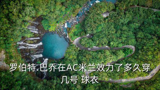羅伯特.巴喬在AC米蘭效力了多久穿幾號 球衣