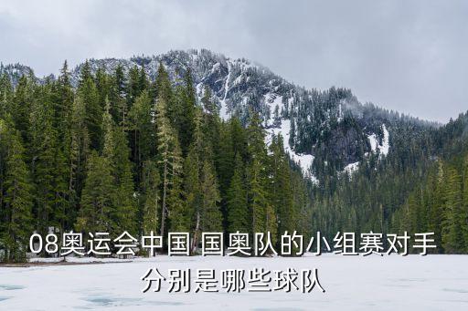 天津國奧足球場,天津?qū)⒉鸪┻_(dá)足球場