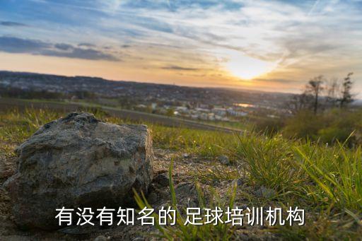 有沒有知名的 足球培訓(xùn)機(jī)構(gòu)