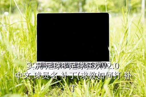 實況足球8球員名中文補丁
