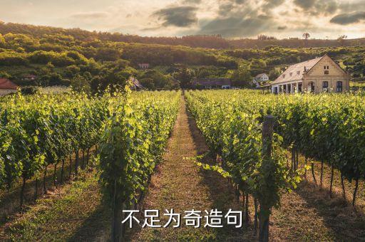 不足為奇造句